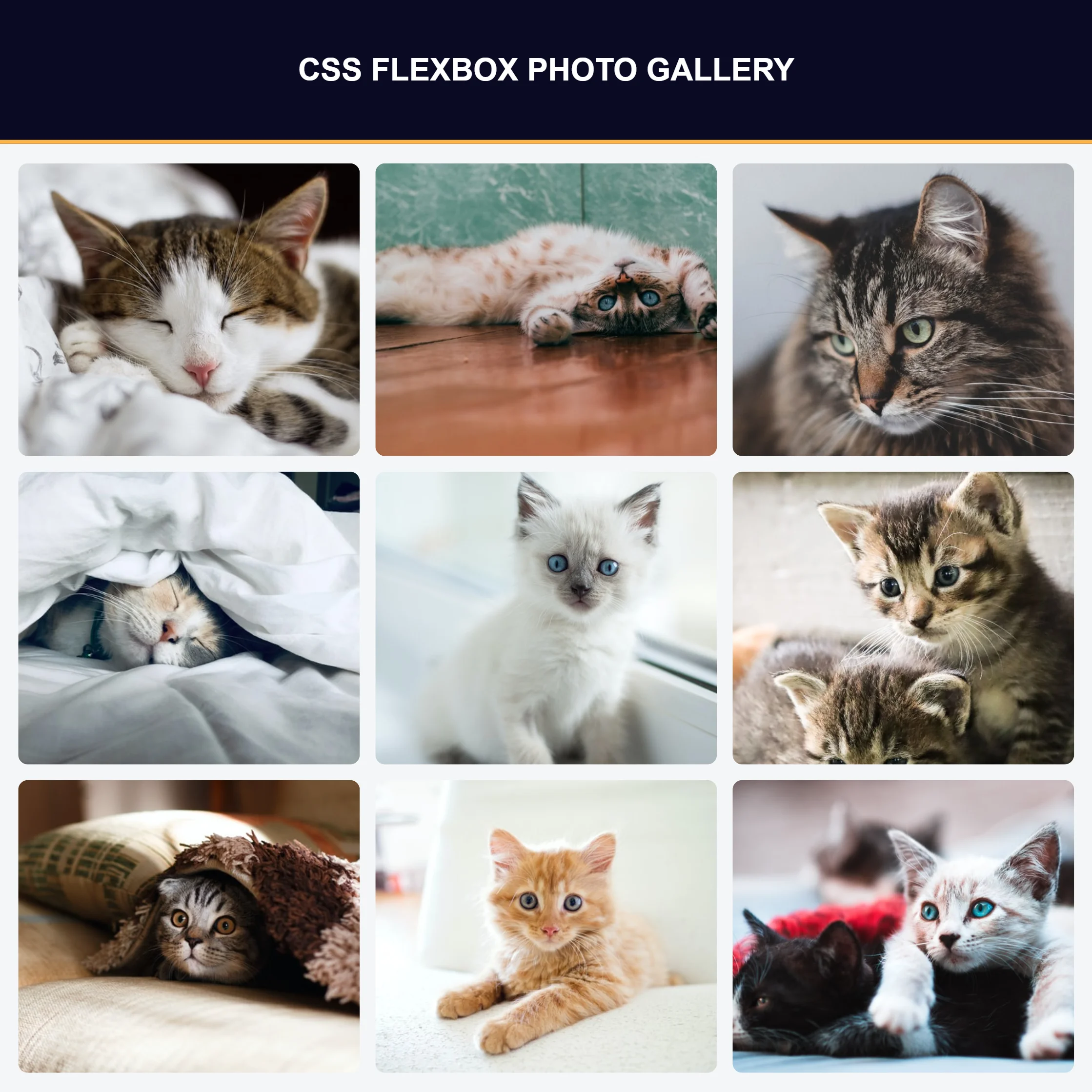 Photo Gallery Project Screenshot.
